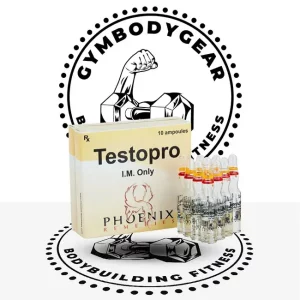 testopro in UK - gymbodygear.com