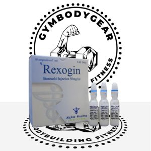 REXOGIN in UK - gymbodygear.com